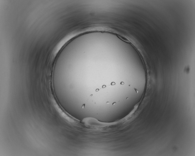 X0000111621438200907311152