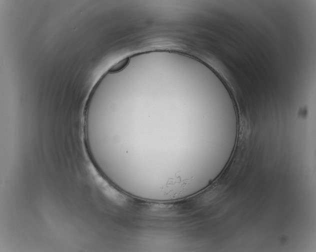X0000111621439200907311152