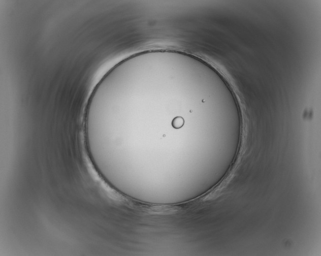 X0000111621440200907311152