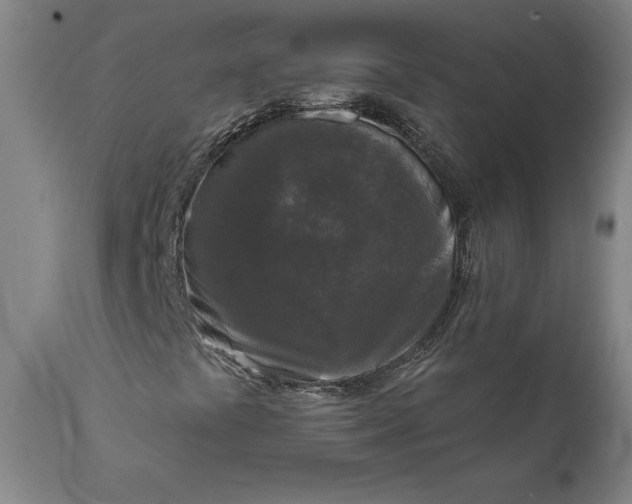 X0000111621441200907311151