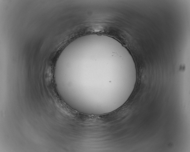 X0000111621442200907311151