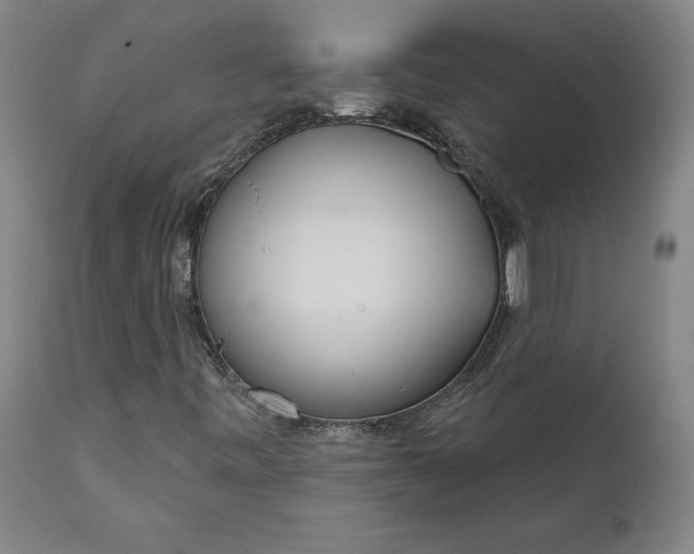 X0000111621443200907311151