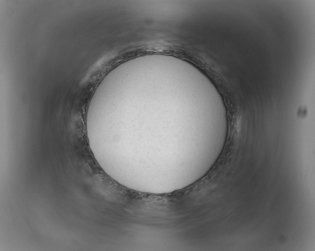 X0000111621446200907311151