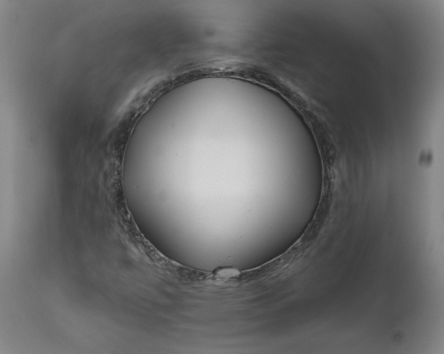 X0000111621447200907311151