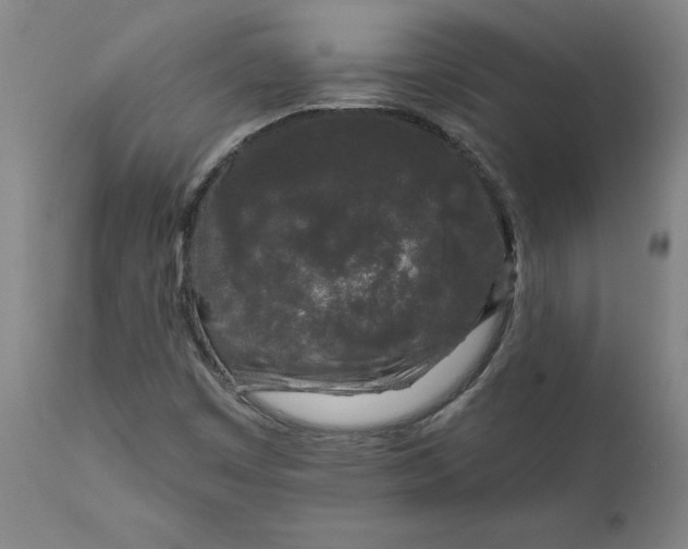 X0000111621449200907311151