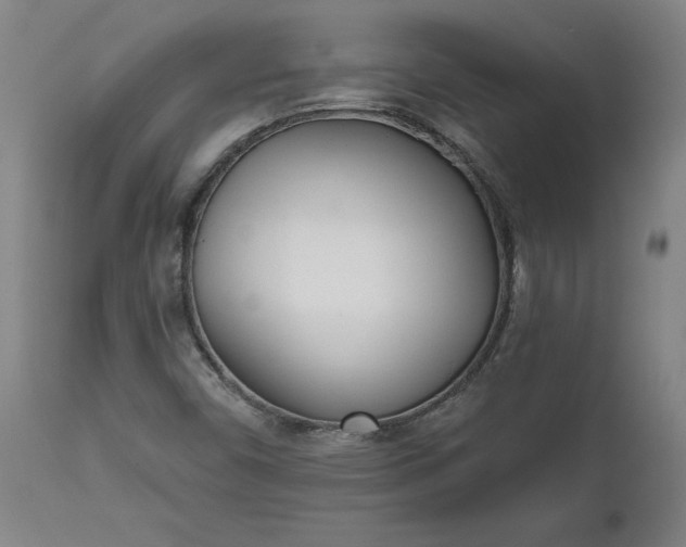 X0000111621450200907311151