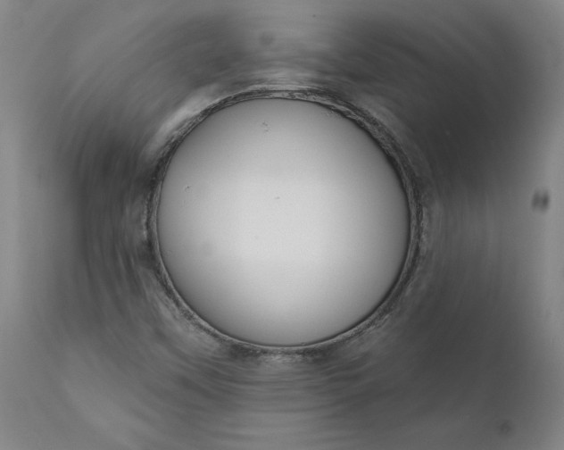 X0000111621451200907311151
