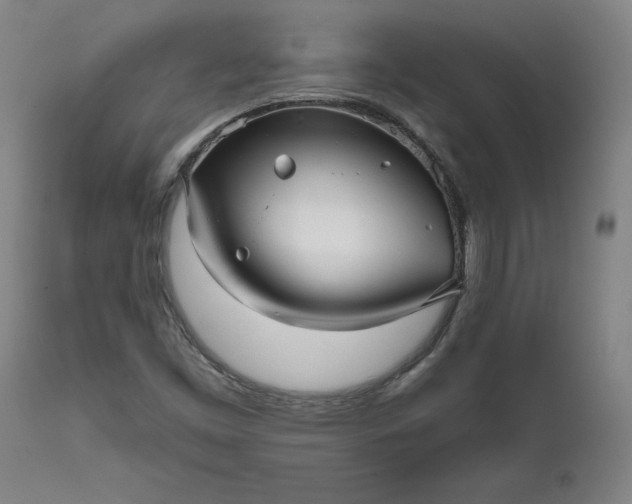 X0000111621453200907311151