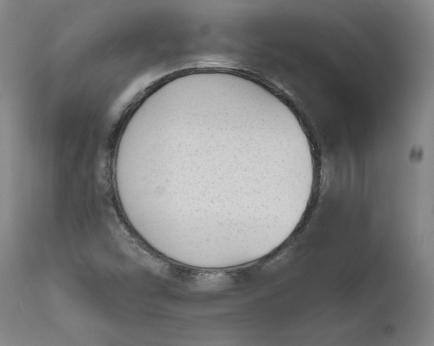 X0000111621454200907311151