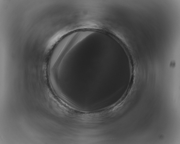 X0000111621455200907311151