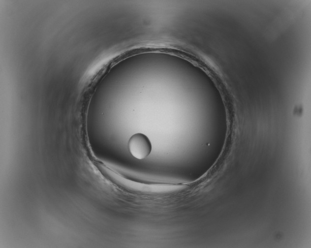 X0000111621456200907311151