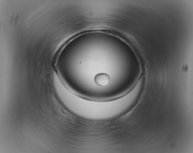 X0000111621457200907311151