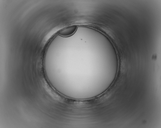 X0000111621458200907311151