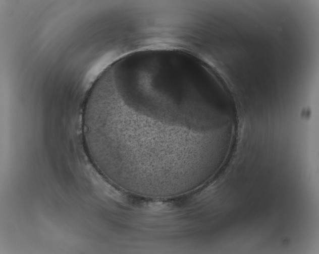 X0000111621459200907311151