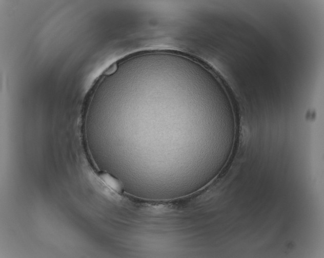 X0000111621460200907311151
