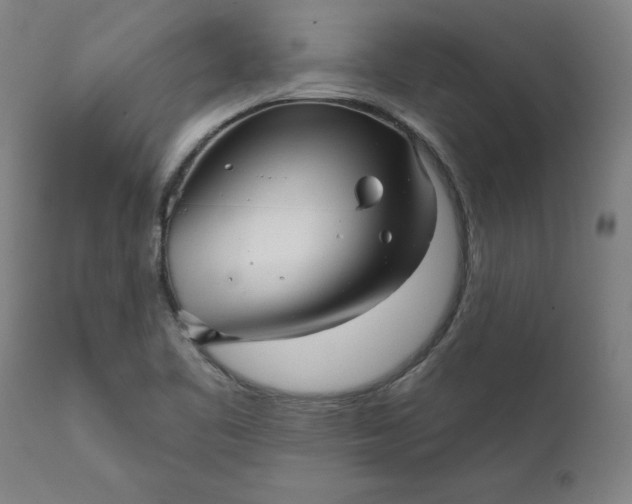 X0000111621461200907311151