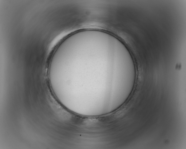 X0000111621462200907311151
