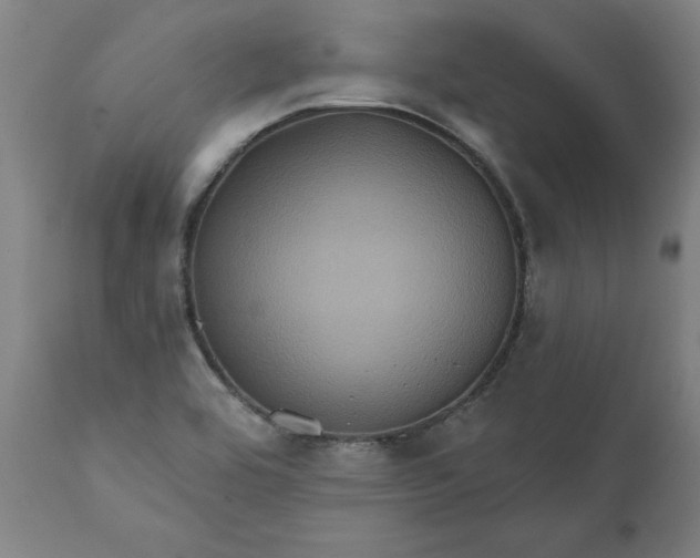 X0000111621464200907311151