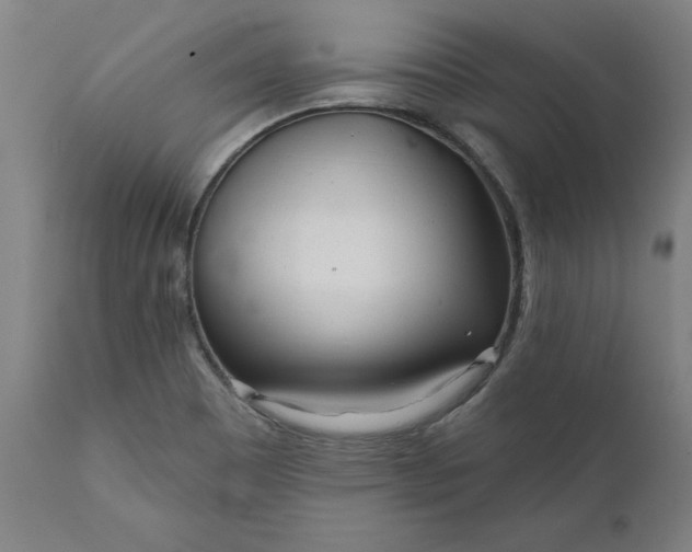 X0000111621465200907311151