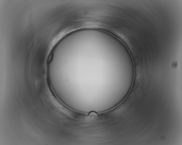 X0000111621467200907311151