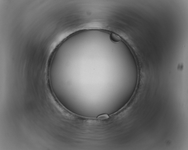 X0000111621469200907311151