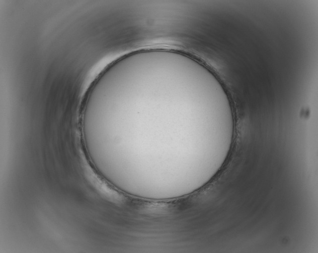 X0000111621470200907311151