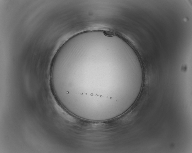 X0000111621471200907311151