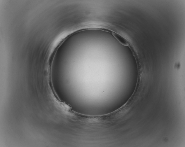 X0000111621472200907311151