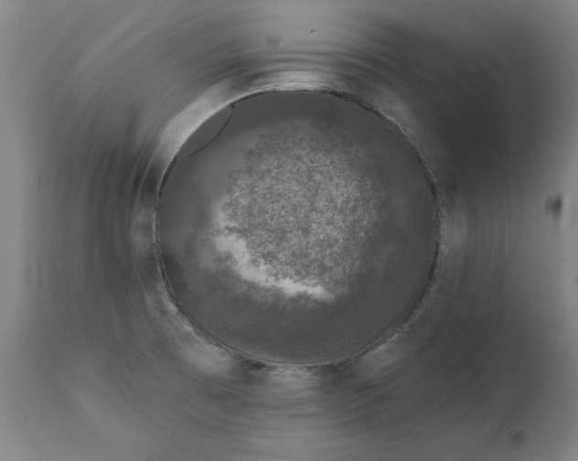 X0000111621473200907311151