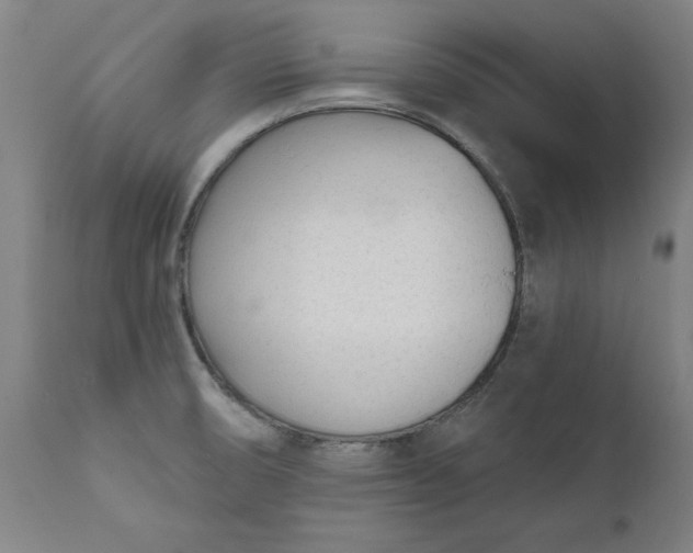 X0000111621474200907311151