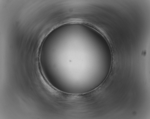 X0000111621475200907311151