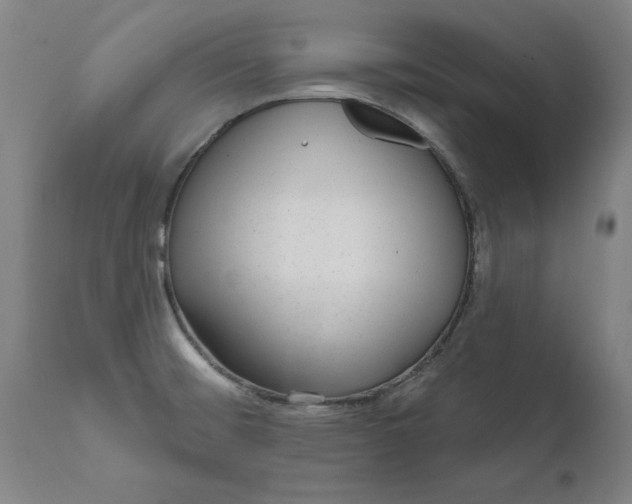 X0000111621476200907311151