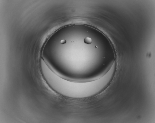 X0000111621477200907311151