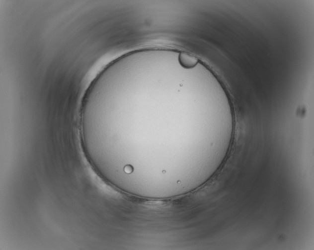 X0000111621478200907311151