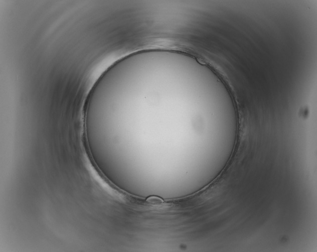 X0000111621479200907311151
