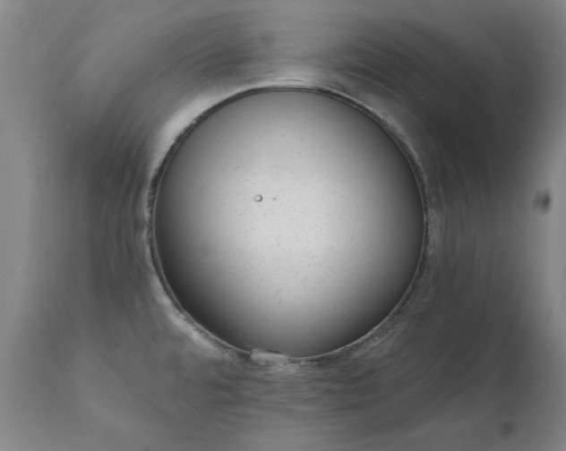 X0000111621480200907311151