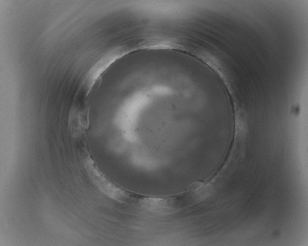 X0000111621481200907311151