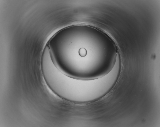 X0000111621484200907311151