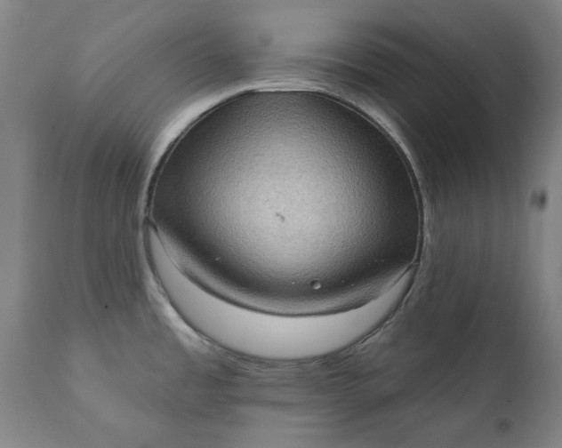 X0000111621485200907311151