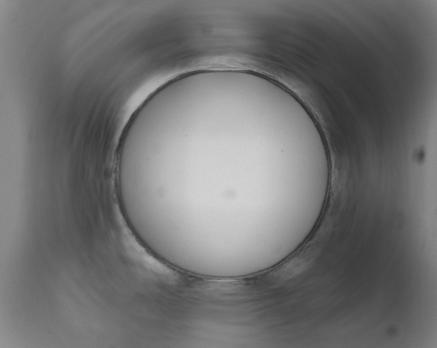 X0000111621486200907311151