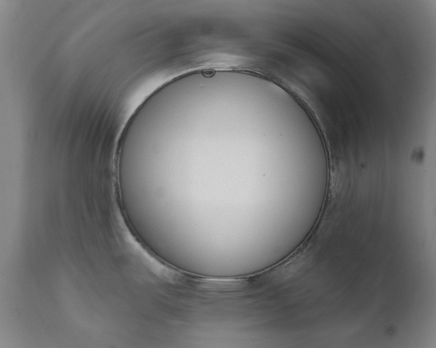 X0000111621487200907311151