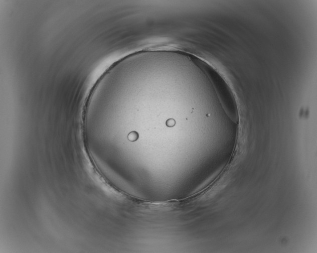 X0000111621488200907311151