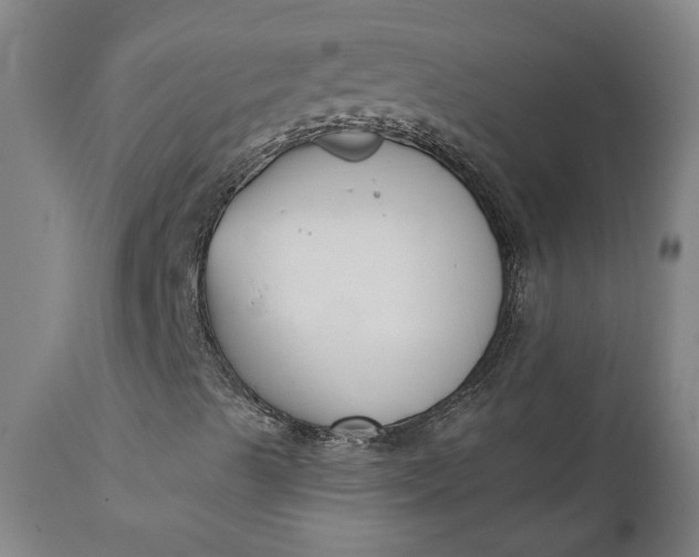X0000111621489200907311150