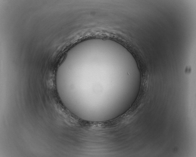 X0000111621490200907311150