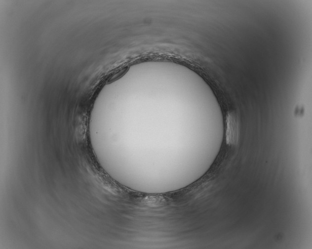 X0000111621491200907311150