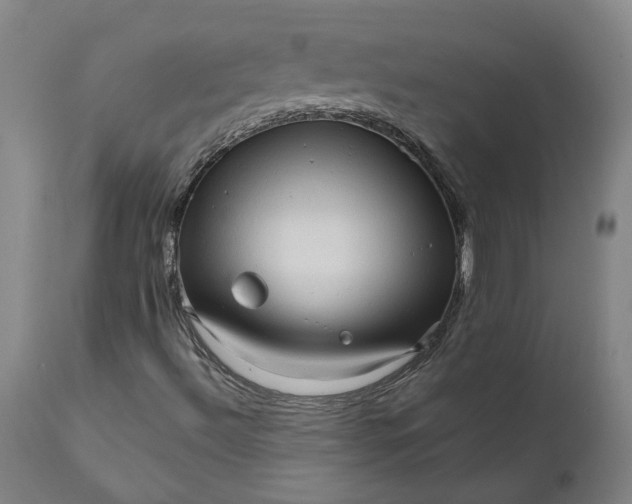 X0000111621492200907311150