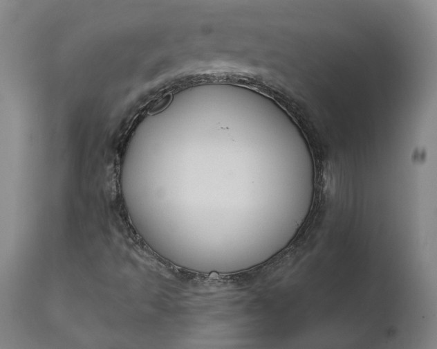 X0000111621493200907311150