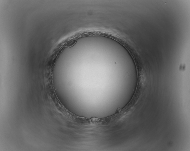 X0000111621494200907311150
