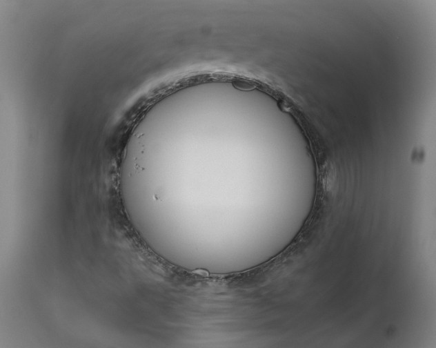 X0000111621495200907311150