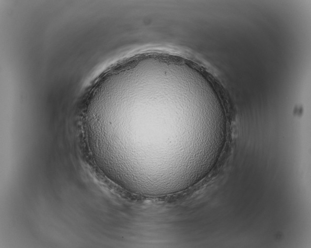 X0000111621496200907311150